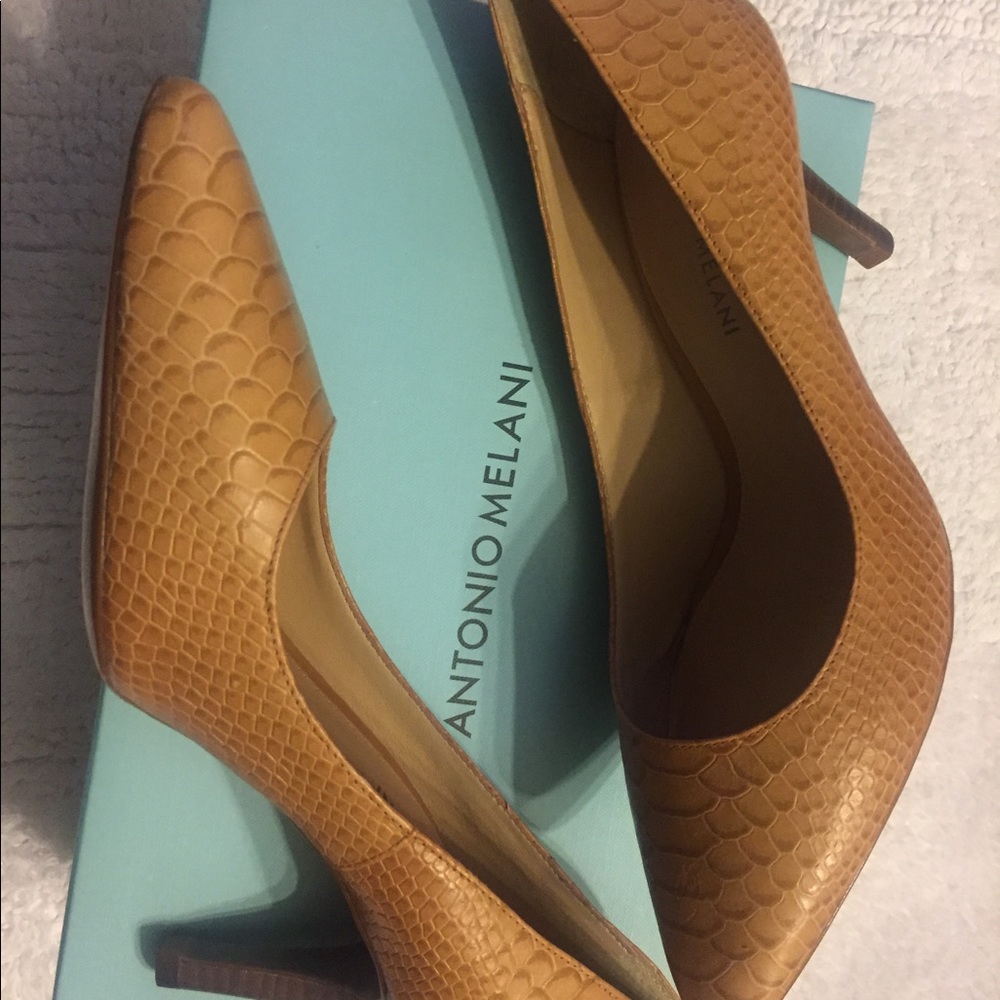 Antonio Melani Pomp’s